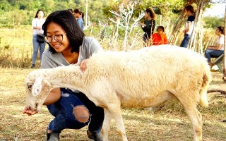 Ma Thiên Lãnh thu hút khách tham quan