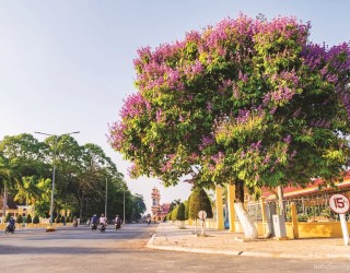 Vẻ đẹp đền thánh Tây Ninh, nội và ngoại thất