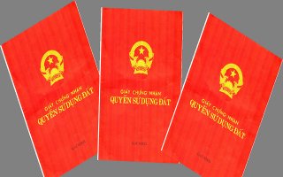 Về một trường hợp khiếu nại cấp giấy chứng nhận quyền sử dụng đất sai đối tượng