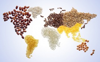 Giá lương thực thế giới tiếp tục tăng trong năm 2018