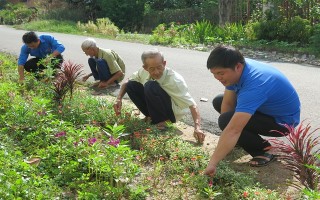 Những con đường hoa nở