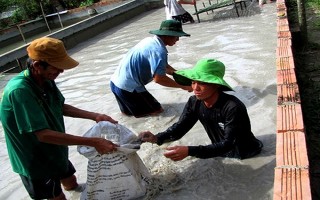 Điểm tựa của hội viên nông dân