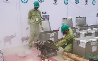 Ngăn chặn, xử lý nghiêm tội phạm buôn bán động vật hoang dã