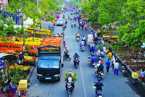 Sắc màu ngày tết