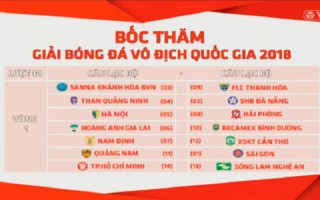 Sân cỏ V.League 2018 có gì mới?