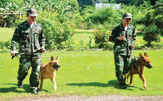 Năm Tuất kể chuyện các “chiến sĩ quân khuyển”