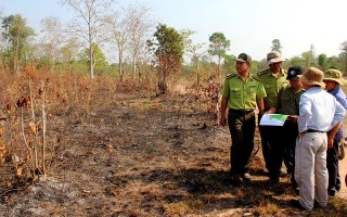 Đốt rừng, lấn chiếm đất rừng làm rẫy