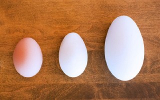 Trứng gà, vịt, ngỗng, trứng nào bổ nhất?