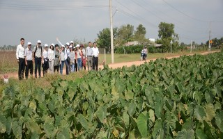 Hoà Thành mong muốn phát triển du lịch dã ngoại, tâm linh