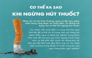 Khi bạn ngừng hút thuốc, sự “hồi sinh” sẽ thế nào?