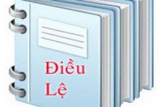 Sao chưa ban hành điều lệ ?