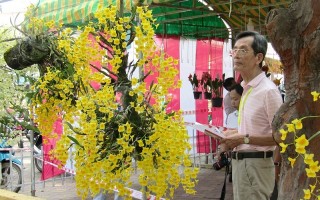 Hội thi hoa lan mở rộng Hoà Thành năm 2018