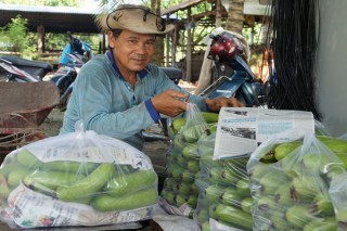 Người trồng rau ngại đăng ký chứng nhận VietGAP