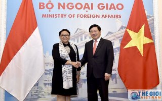 Phó Thủ tướng Phạm Bình Minh tiếp Bộ trưởng Ngoại giao Indonesia