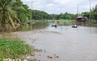 Từ Hồng Hà tới bến Tầm Long