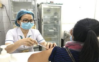 Sử dụng vaccine kịp thời để phòng, chống bệnh dại