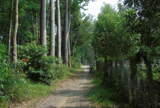 Ngang qua Thanh Điền