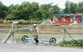 Hàng chục người bị ung thư, vì sao?