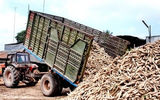 Thông tin kinh tế trong tỉnh