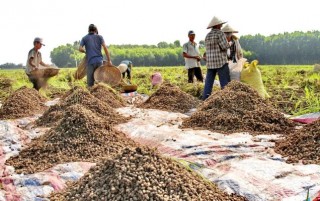 Thông tin kinh tế trong tỉnh