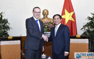 Thứ trưởng thường trực Bùi Thanh Sơn tiếp Quốc vụ khanh Anh Simon McDonald