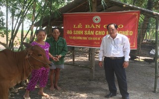 Trao bò sinh sản cho hộ nghèo ở xã Phước Ninh