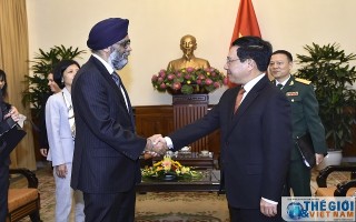 Phó Thủ tướng Phạm Bình Minh tiếp Bộ trưởng Quốc phòng Canada