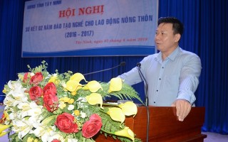 Gần 84% lao động nông thôn có việc làm sau học nghề