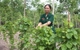 Nữ cựu chiến binh với tấm lòng từ thiện