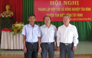 Thành lập HTX nông nghiệp Tân Bình