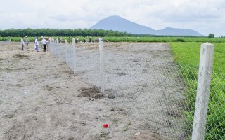 Tân Châu: Bàn giao mặt bằng cho chủ đầu tư Dự án Điện mặt trời