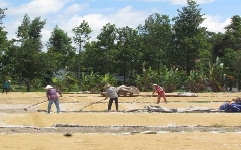 Cần thêm những “cú hích”