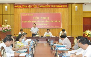 Ban Chấp hành Đảng bộ tỉnh tổ chức phiên họp thường kỳ lần thứ 29