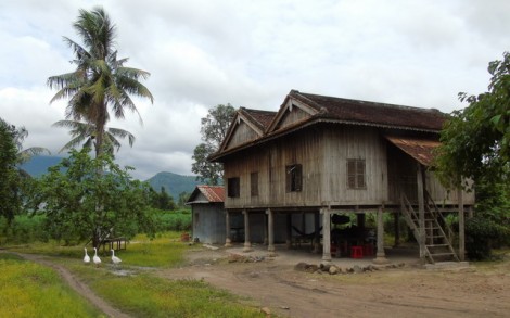 Hiểu thêm về Tân Hưng