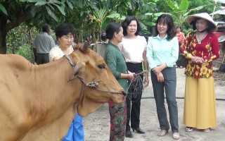 CLB Nữ từ thiện tỉnh Tây Ninh: Hỗ trợ vốn cho phụ nữ nghèo