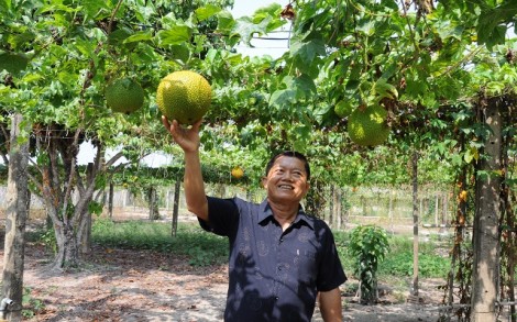 Nông nghiệp, nông dân, nông thôn có nhiều thay đổi tích cực