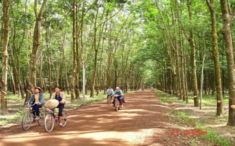 Thông tin kinh tế trong tỉnh