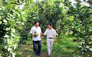 Tây Ninh dành trên 17.000 ha đất phát triển nông nghiệp ứng dụng công nghệ cao