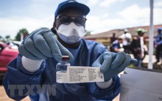 Phát hiện ra một chủng virus Ebola mới tại Sierra Leone