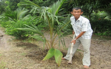 Người thương binh già mê làm từ thiện