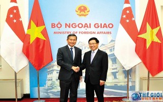Đối tác Chiến lược Việt Nam - Singapore: Vươn tới những tầm cao mới