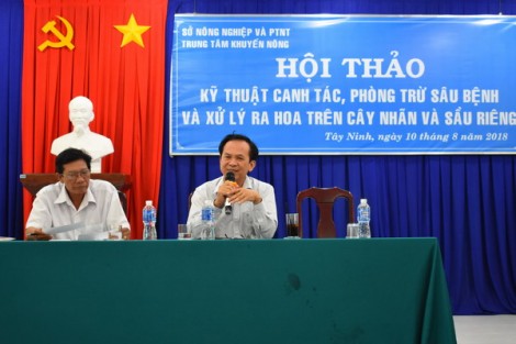 Hội thảo kỹ thuật trồng nhãn, sầu riêng