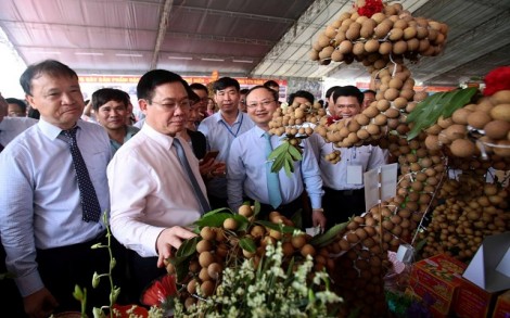 'Không để 1 cân nhãn nào của bà con không bán được'