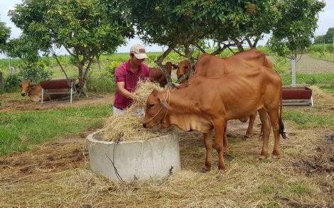 Bài cuối:  Cần đầu tư phát triển chăn nuôi bền vững