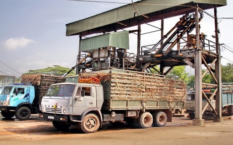 Thông tin kinh tế trong tỉnh