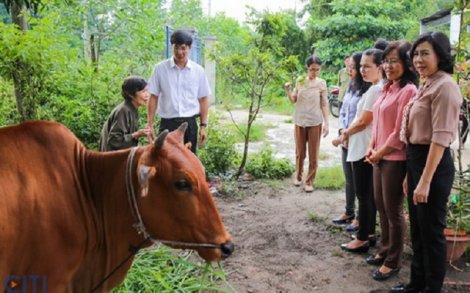 Điểm tin địa phương