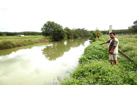 Ông cần chứng minh về nguồn gốc sử dụng đất