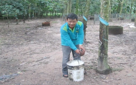 Hỗ trợ, tạo điều kiện cho nông dân nghèo vươn lên