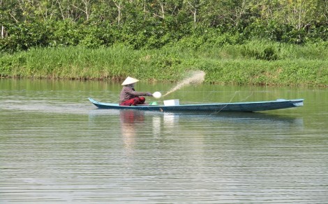 Nuôi cá tra: cần tăng cường quản lý