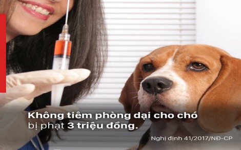 Bệnh Dại: Chia sẻ thông điệp, cứu sống tính mạng